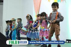 batch_IMG_4193