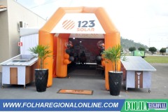 D306171