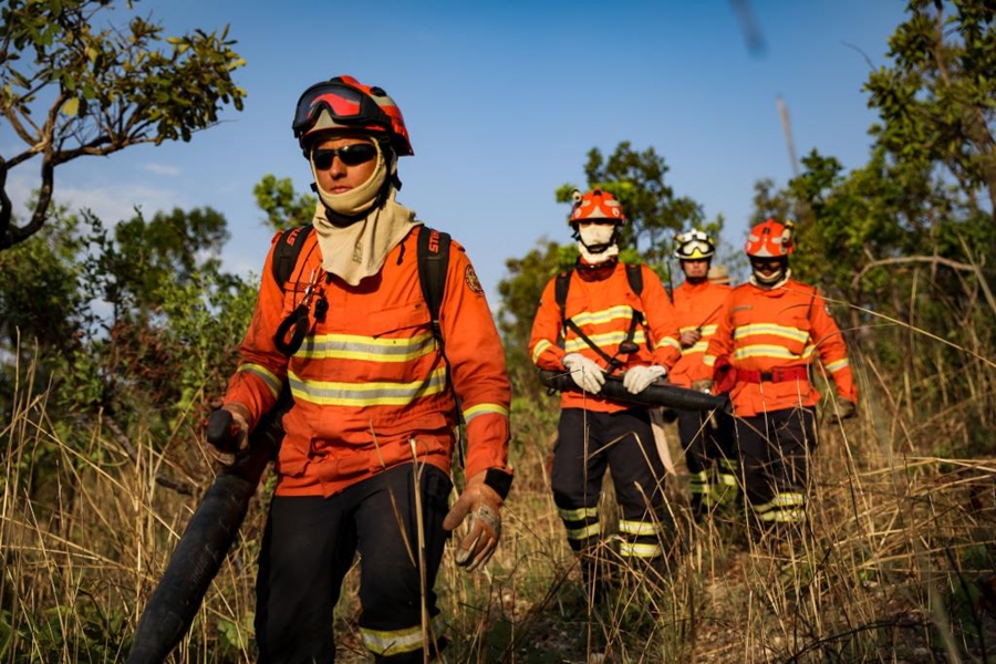 Mato Grosso reduz em 57% o número de focos de calor em todo o território￼￼