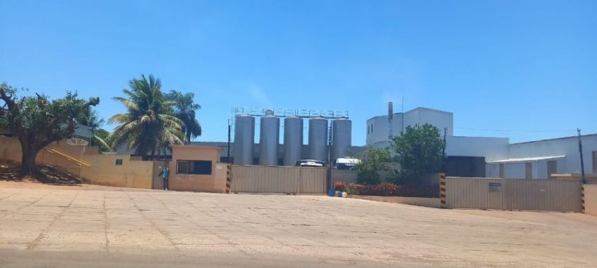 Laticínio de Quatro Marcos atrasa pagamento e preocupa produtores de leite