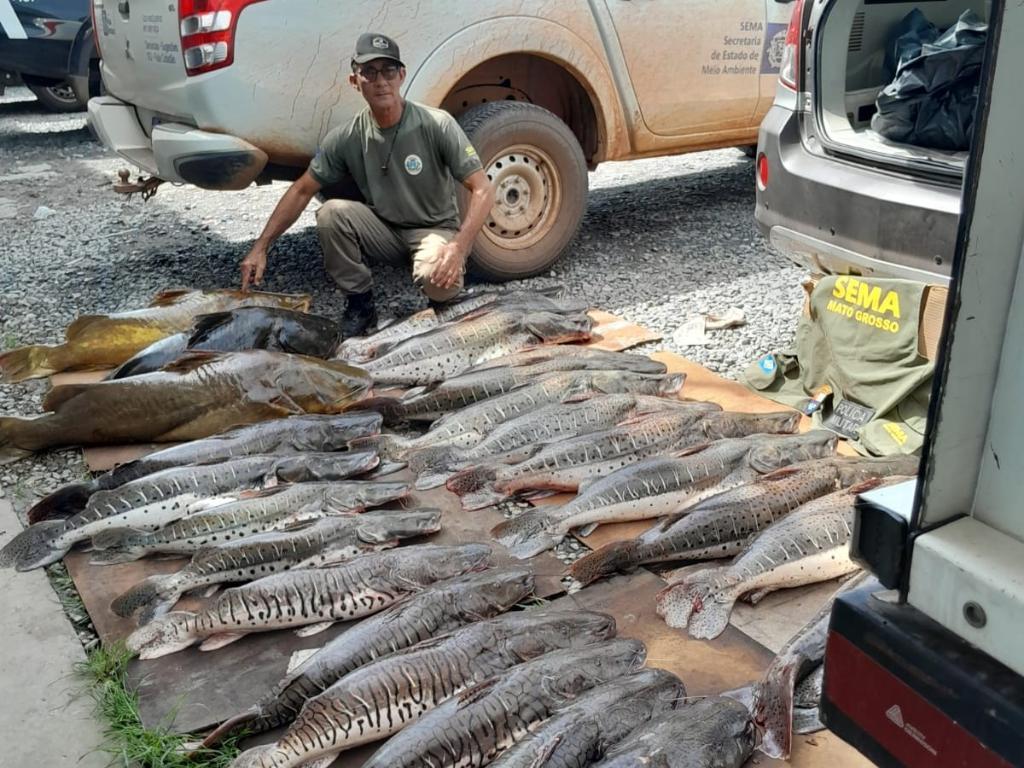 Sema e PM apreendem jacaré e 371 kg de pescado ilegal durante fiscalização