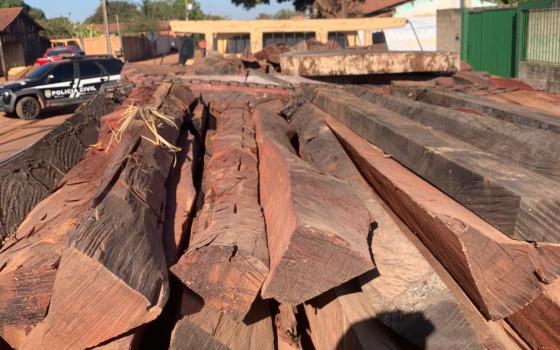 Trabalho conjunto apreende carga de madeira transportada ilegalmente, em Vila Bela