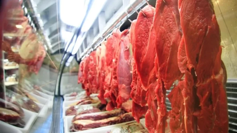 Produção de carne bovina no Brasil deve crescer em 2024, diz USDA