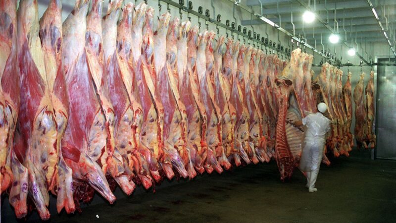 Frigorífico de Pontes e Lacerda está entre as unidades habilitadas para vender carne à China