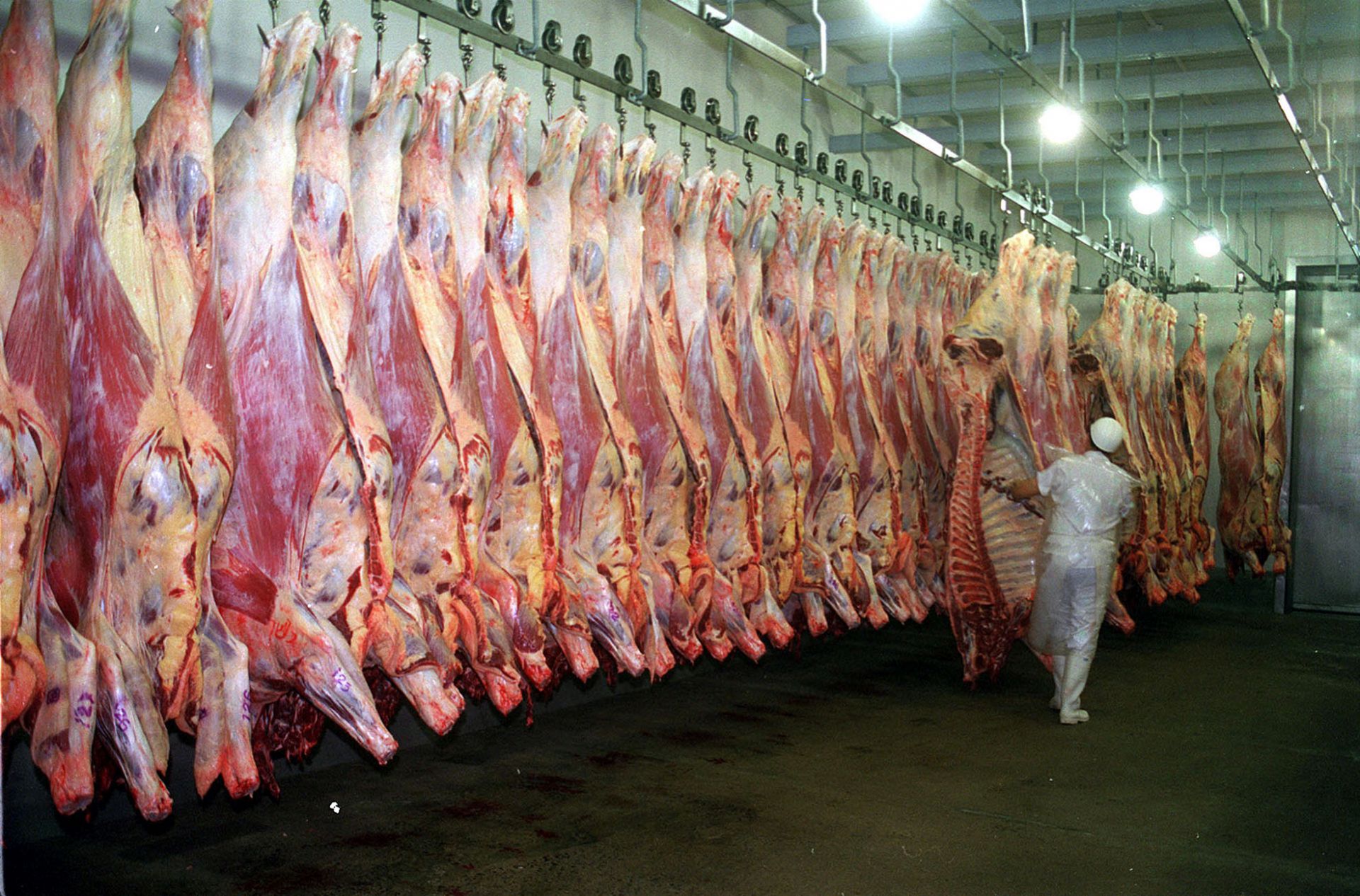 Frigorífico de Pontes e Lacerda está entre as unidades habilitadas para vender carne à China