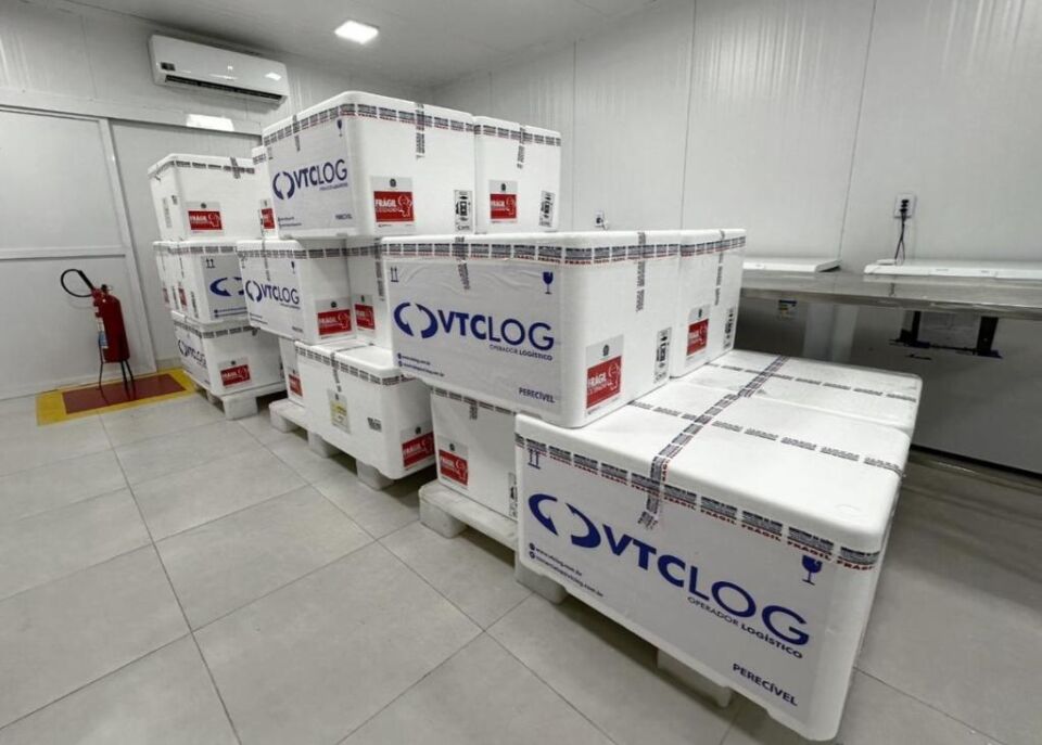 Mato Grosso recebe 32 mil doses de vacina contra dengue; distribuição começa na quinta (2)