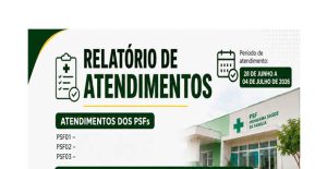 Relatório de Atendimentos | PSFs de Nova Lacerda