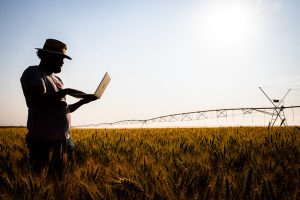 Famato alerta os produtores rurais sobre a ampliação do Programa Gerador da Declaração do ITR 2026