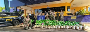 PRF apreende mais de 450 kg de drogas em caminhão na BR-364, em Várzea Grande (MT)