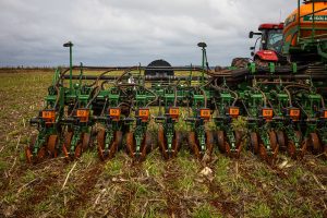 Fim do vazio sanitário em MT: El Niño aumenta atenção para início do plantio de soja