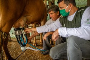 Palestra vai orientar produtores sobre impactos da reforma tributária na produção de leite em MT