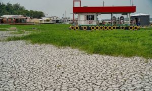 Campanha arrecada alimentos para afetados por seca no Amazonas