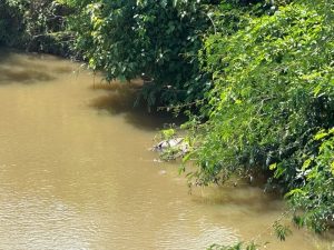 | INVESTIGAÇÃO| Jovem teria sido assassinado em Mirassol D’Oeste e corpo levado para Araputanga e jogado no Rio Bugre